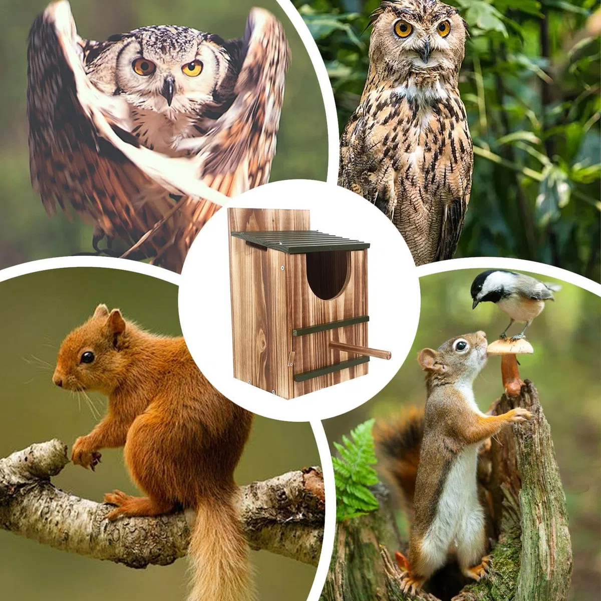 Pudełka z sową na zewnątrz, drewniane schronienie, wodoodporne, karbonizowany duży domek dla ptaków, dla wiewiórki, kolibra, na zewnątrz, okno, dom, ganek, dekoracja zimowa