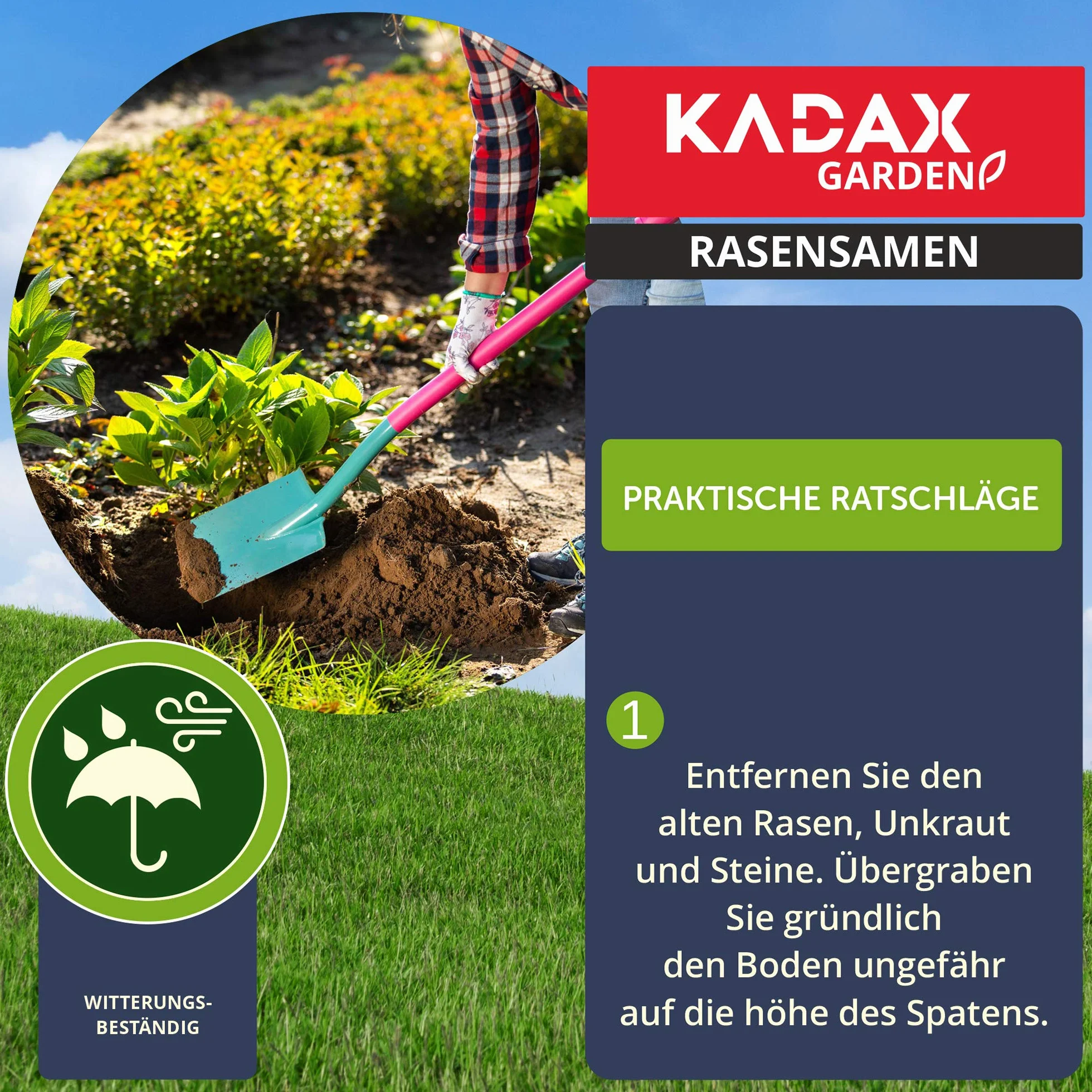 KADAX Trawa ozdobna, 600 m², nasiona trawy ozdobnej, mieszanka nasion trawy, nasiona trawy, nasiona efektywne, mieszanka nasion trawy, trawa, mieszanka nasion (15 kg)