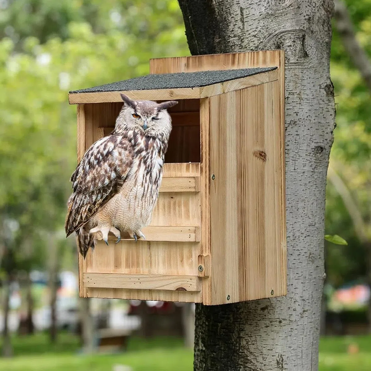 Pudełka dla sowy na zewnątrz podwórko drewniane schronienie dla ptaków | Zewnętrzny domek dla sowy na trawnik ogród podwórko patio ganek balkon stodoła farma
