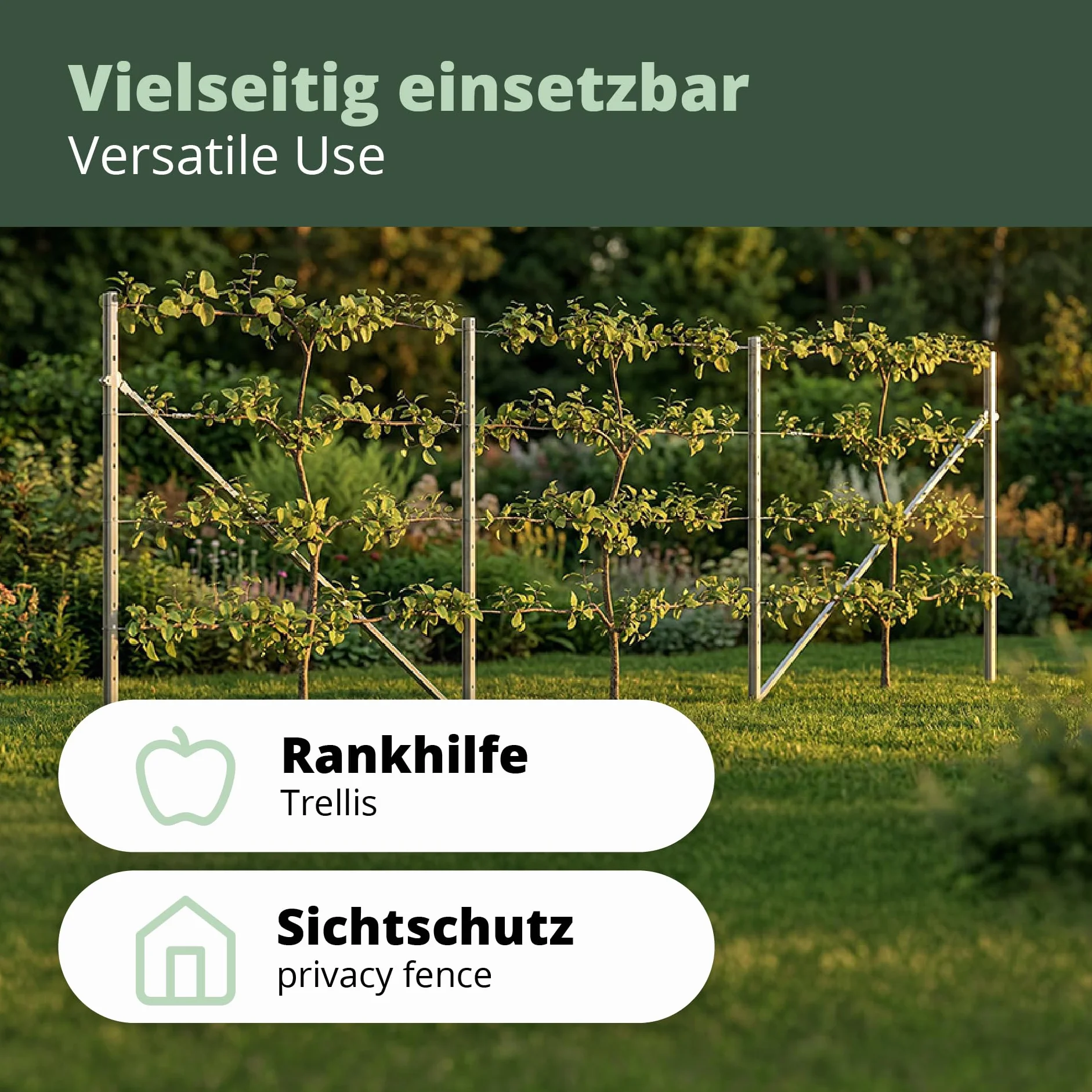 RANKI™ – podpora dla roślin pnących – pergola na standardowej plantacji do wina, kiwi, kiwi, róż, powojników, owoców pergolskich (2 pola (4 metry))
