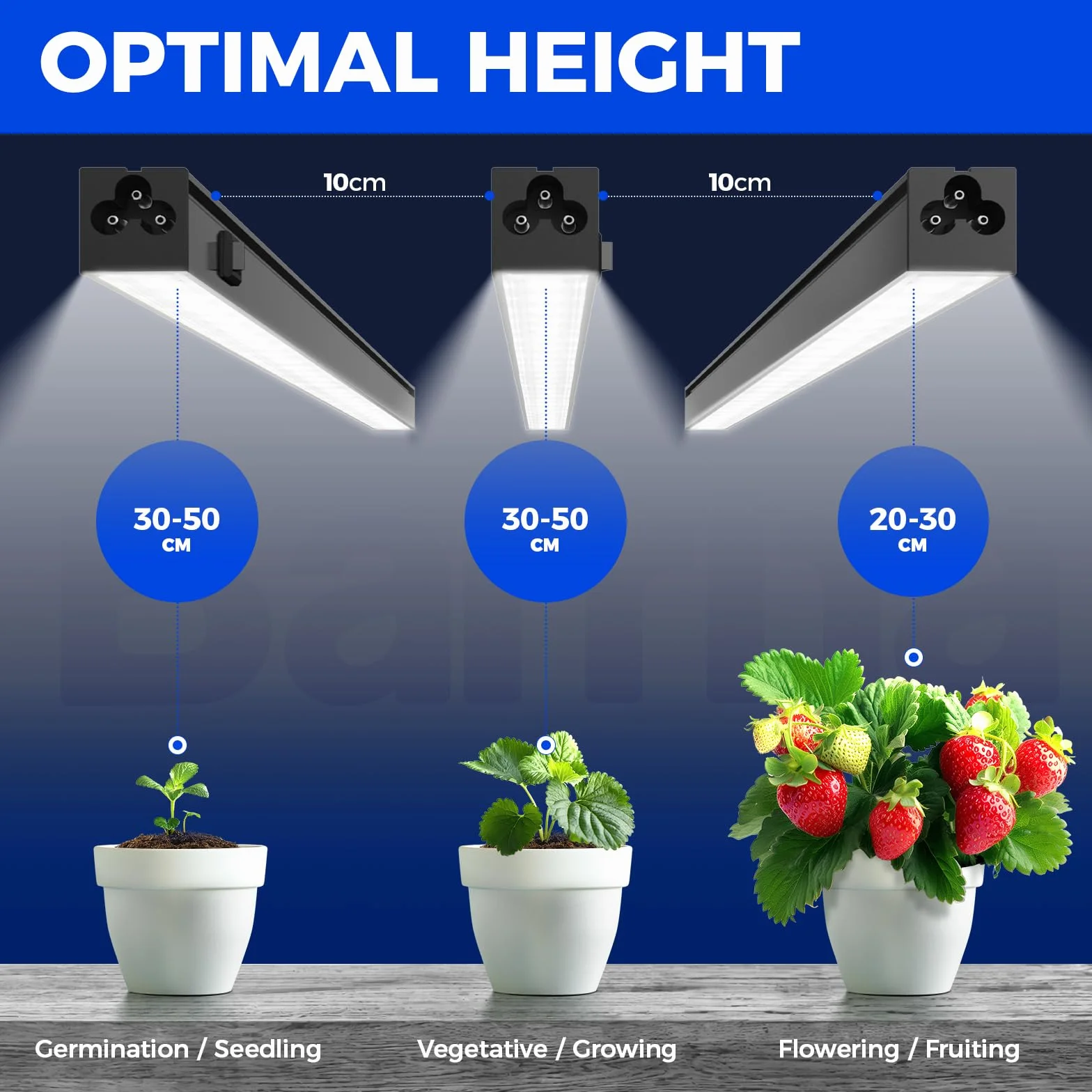 Barrina T5 LED Lampa do Roślin, 5000K, 29cm, Pełne Spektrum, Zestaw 6 szt