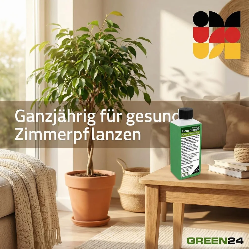GREEN24 Ficus nawóz płynny do fig, high-tech