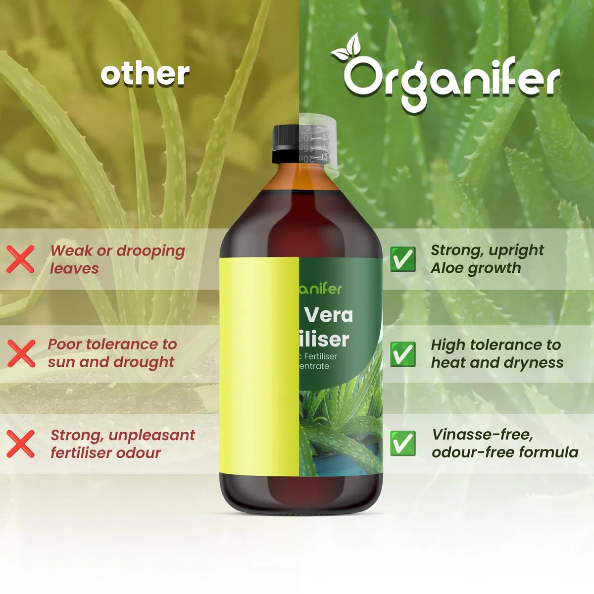 Aloe Vera Płynny Nawóz - 4x1L - NPK 2-1-8 | Nawóz Płynny Dla Silnych Liści I Zdrowych Sukulentów - Wspomaga Rozwój Korzeni I Witalność - Organifer
