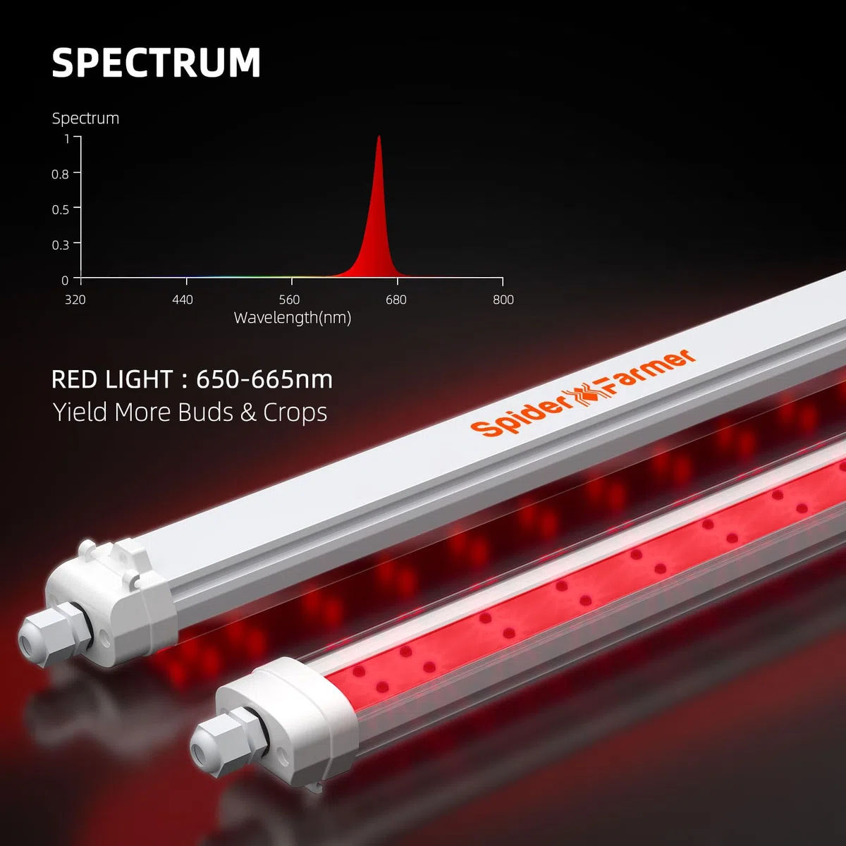 Spider Farmer 2024 nowa lampa LED do uprawy roślin SF-GlowR40, czerwona dodatkowa listwa oświetleniowa, 650-665 NM, wysoka wydajność do roślin domowych, kwitnący kwiat (2 opakowania 40 W)