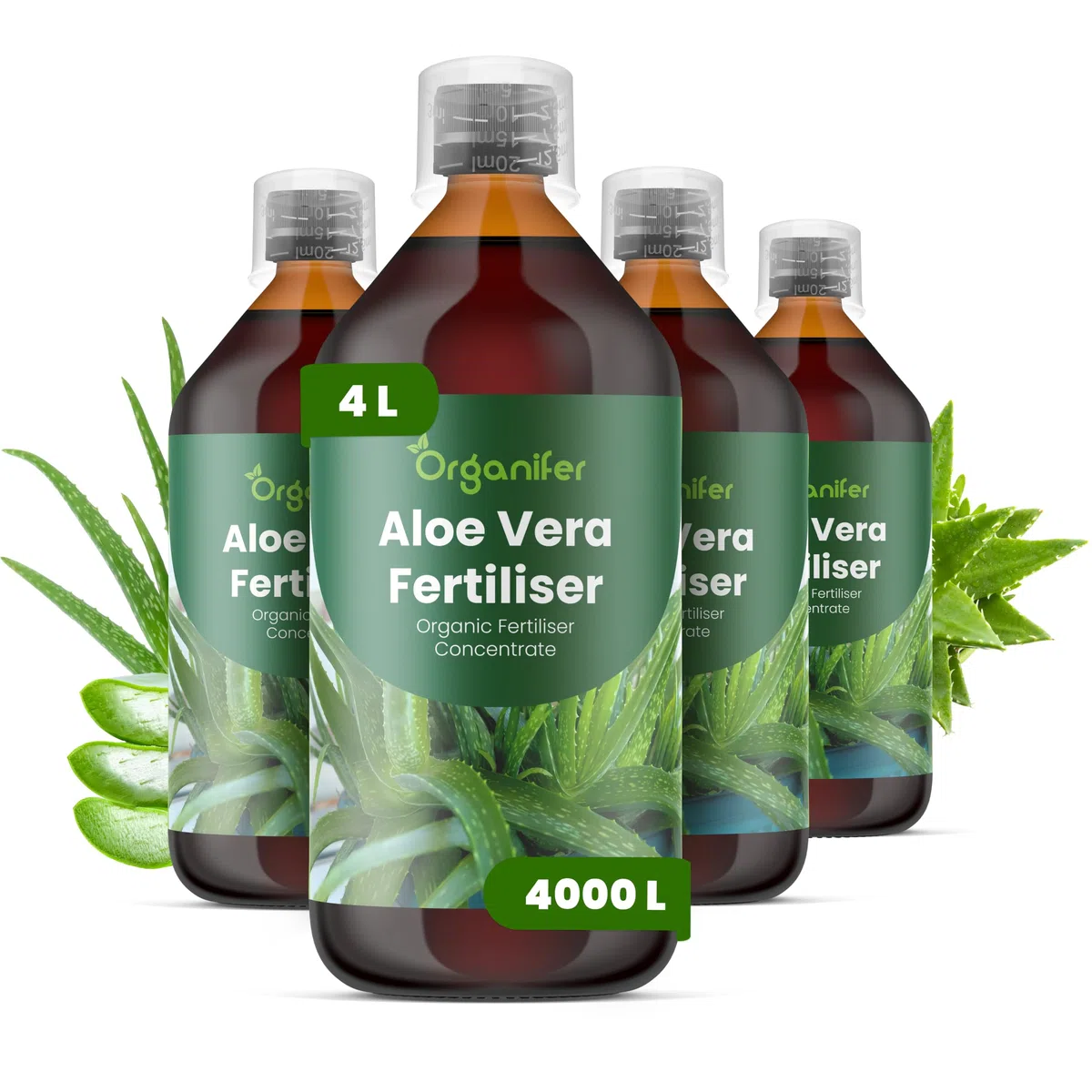 Aloe Vera Płynny Nawóz - 4x1L - NPK 2-1-8 | Nawóz Płynny Dla Silnych Liści I Zdrowych Sukulentów - Wspomaga Rozwój Korzeni I Witalność - Organifer