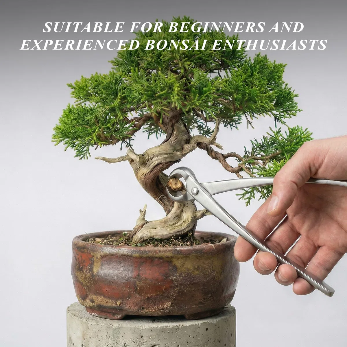 3-częściowy zestaw narzędzi do bonsai – profesjonalny zestaw z szczypcami do pąków, szczypcami wklęsłymi i nożyczkami bonsai do precyzyjnego cięcia, kompletny zestaw do pielęgnacji roślin i formowania