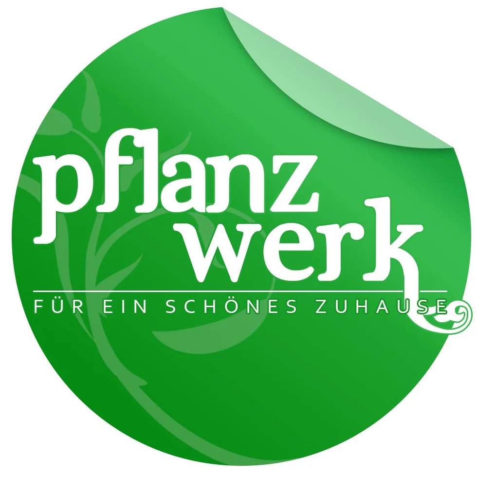 Pflanzwerk® donica TOWER Chocolate 50x23x23cm *odporna na mróz* *ochrona przed promieniowaniem UV* *jakość europejska*