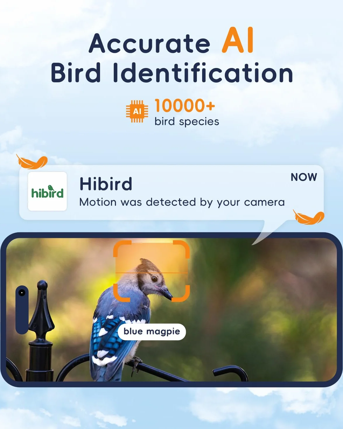 Kamera do obserwacji ptaków 5G, Hibird Smart AI identyfikuje i automatycznie przechwytuje ponad 10000 gatunków ptaków IP66 Mini bezprzewodowa kamera do obserwacji z panelem słonecznym, dla miłośników