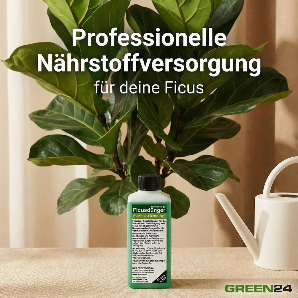 GREEN24 Ficus nawóz płynny do fig, high-tech