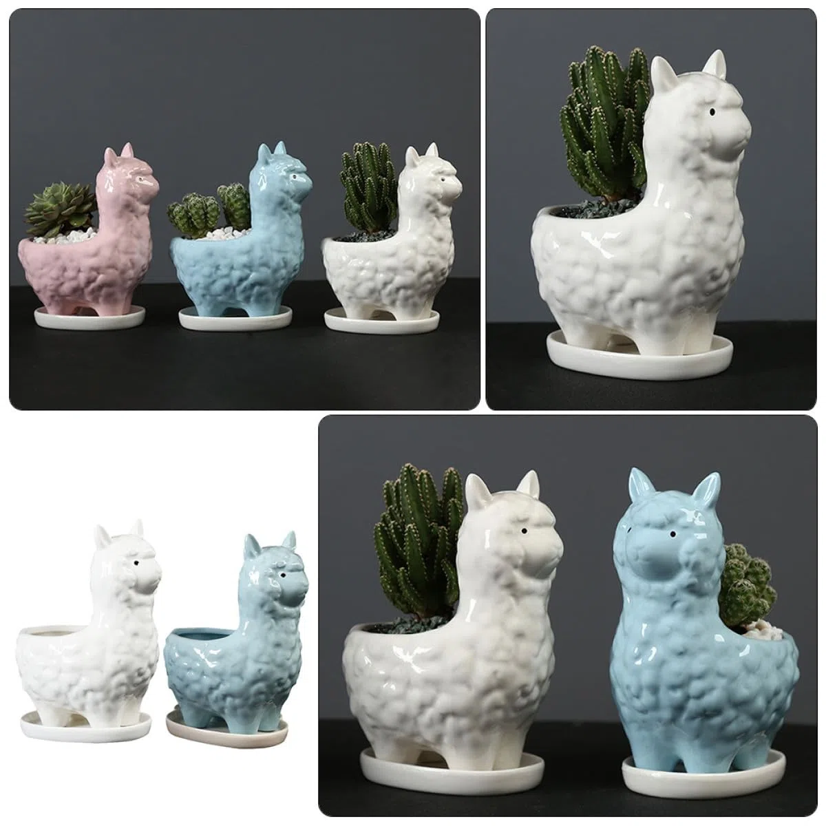 2kawałki Ceramiczny Kwiatowy Doniczek z Alpaka Uroczy Do Sukulentów Bonsai Dekoracja Biurka Idealny Do Domu i Ogrodu