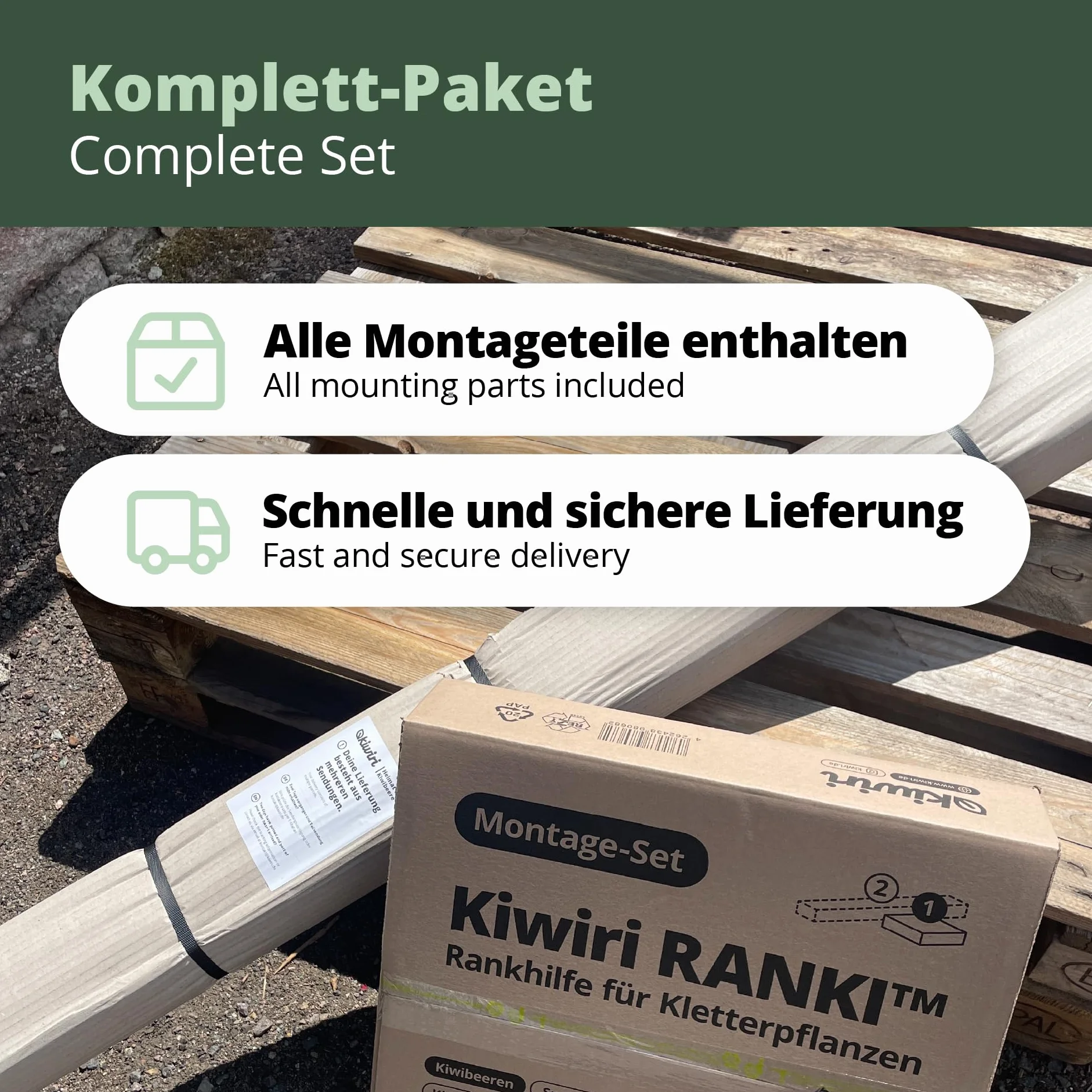 RANKI™ – podpora dla roślin pnących – pergola na standardowej plantacji do wina, kiwi, kiwi, róż, powojników, owoców pergolskich (2 pola (4 metry))