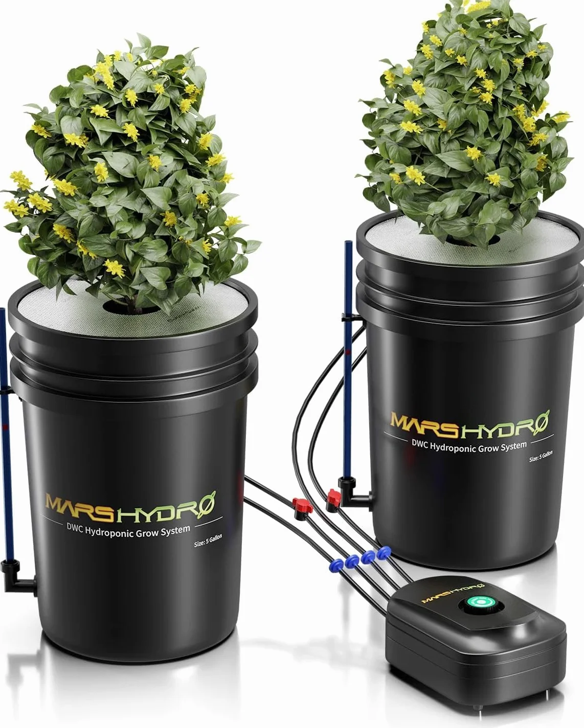 Mars Hydro DWC 5 galonów Głęboki system hydroponiczny z pompą powietrza 8 W