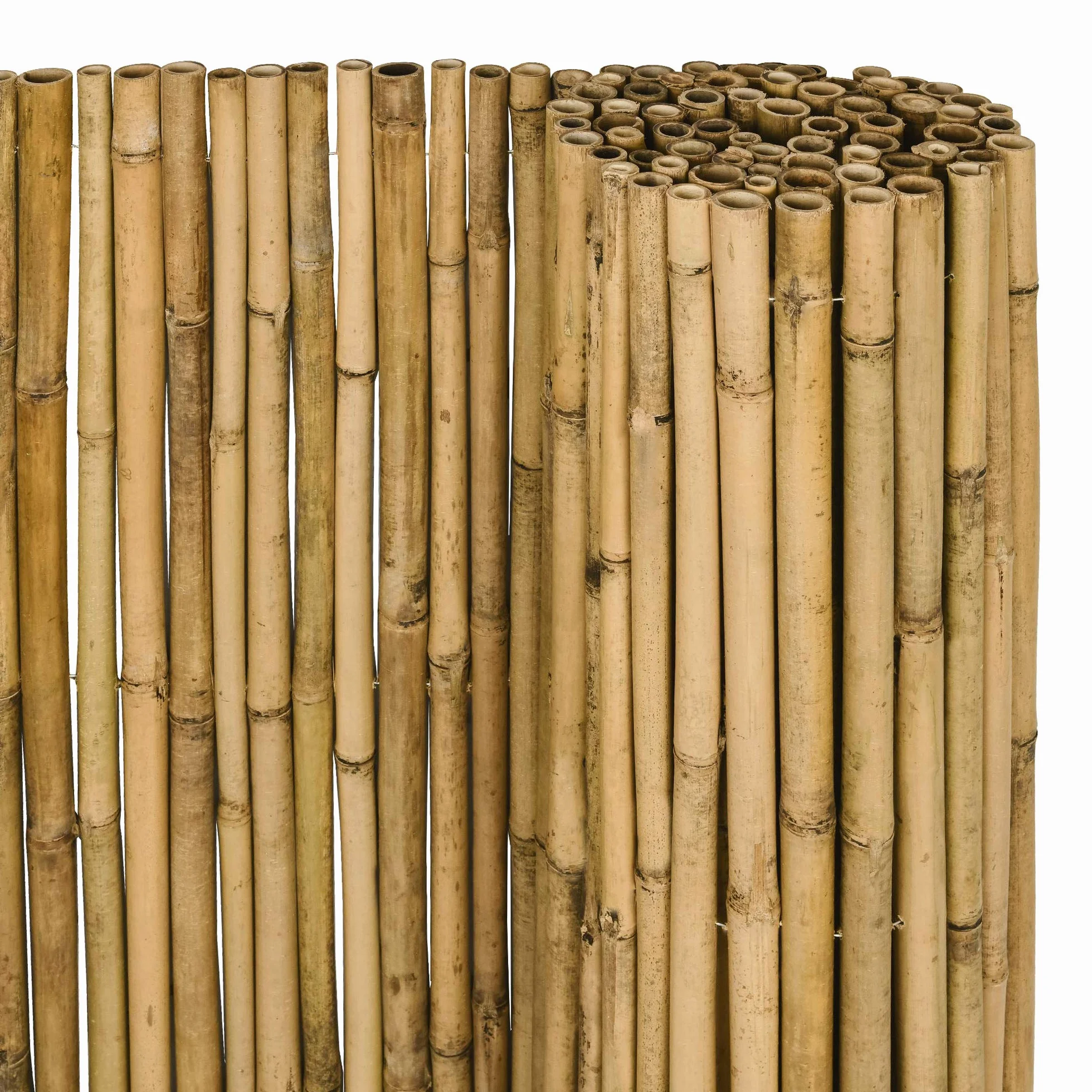 Sol Royal Ogrodowy parawan z bambusa SolVision B38 100x250cm Naturalna ścianka Mata ogrodowa Ochrona przed wiatrem i słońcem