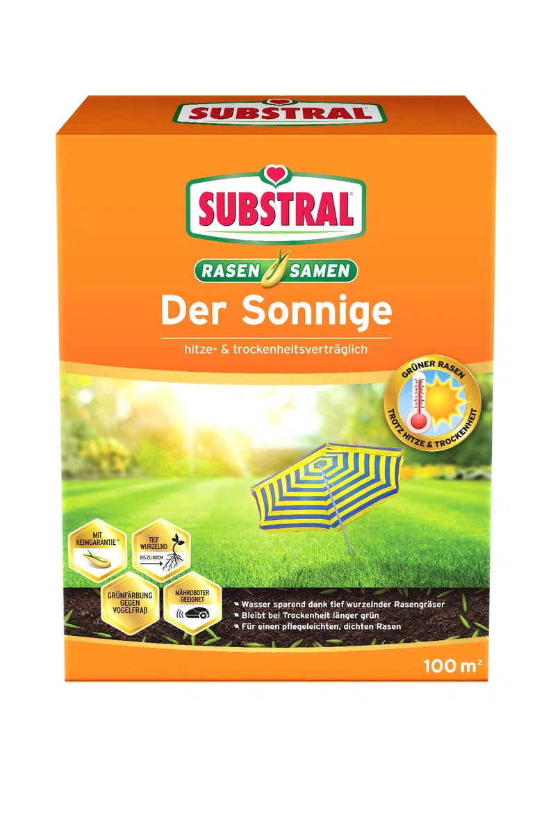 Substral Nasiona trawnika słoneczny, suchy trawnik, wysokiej jakości mieszanka nasion trawnika do miejsc słonecznych i suchych, składane pudełko 2,25 kg