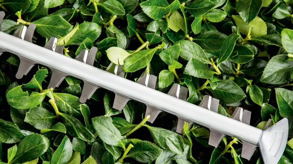 Bosch Home and Garden UniversalHedgeCut 60 Sekator (480 W, długość listwy tnącej: 60 cm, do średnich żywopłotów, odstęp pomiędzy nożami: 30 mm, opakowanie kartonowe)