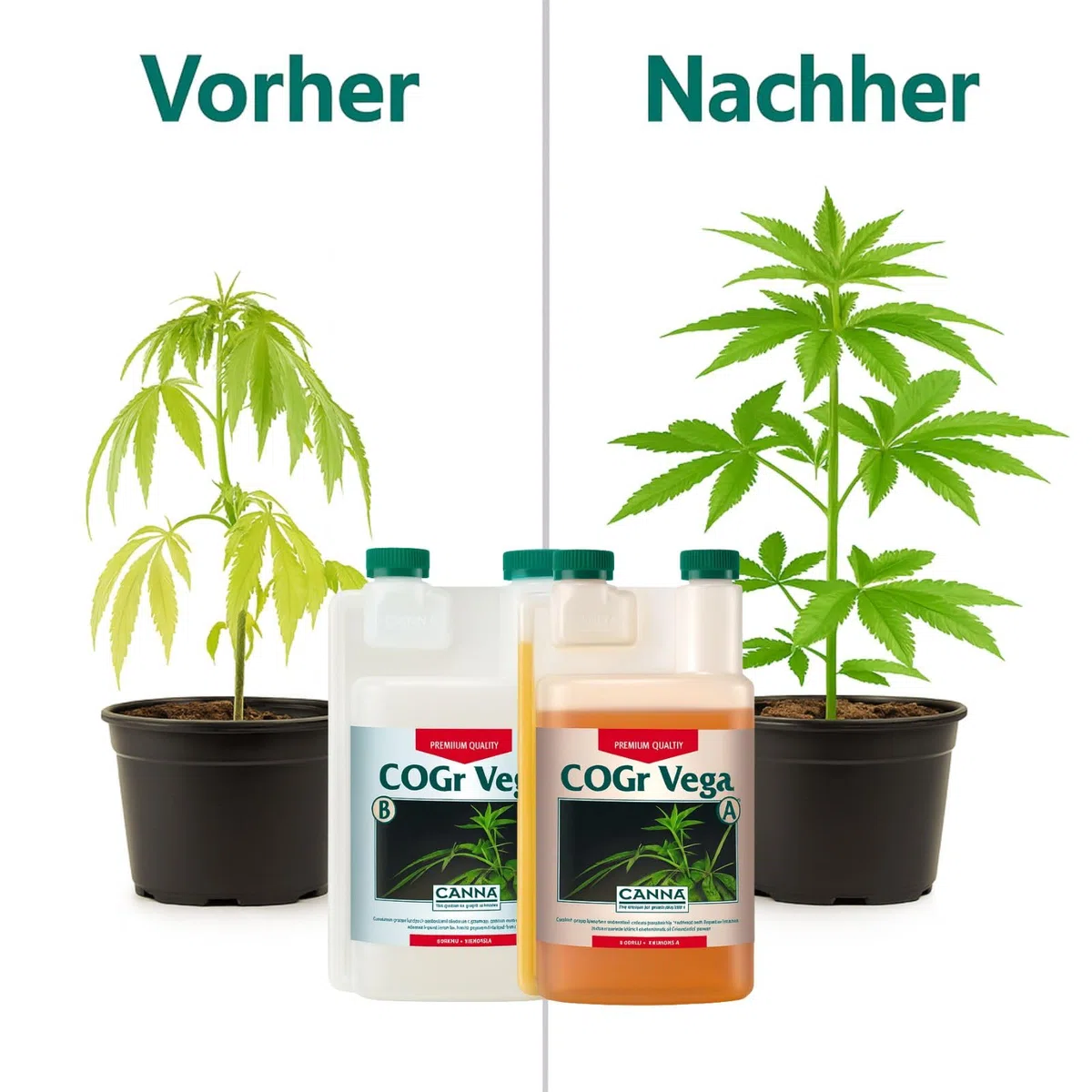 Weedness Canna COGr Vega A&B 5 litrów - nawóz do hydrokultury kokos substrat Coco Grow uprawa do wnętrz