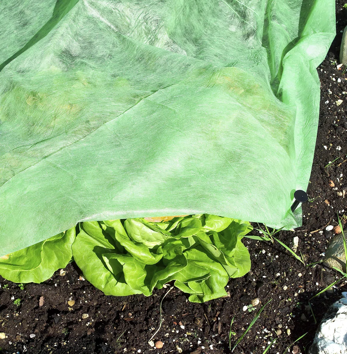 Windhager Włóknina ogrodowa Supergrow, włóknina do wzrostu dla optymalnej wymiany ciepła i wilgoci, 1,5 x 10 m, 20 g/m², 06769