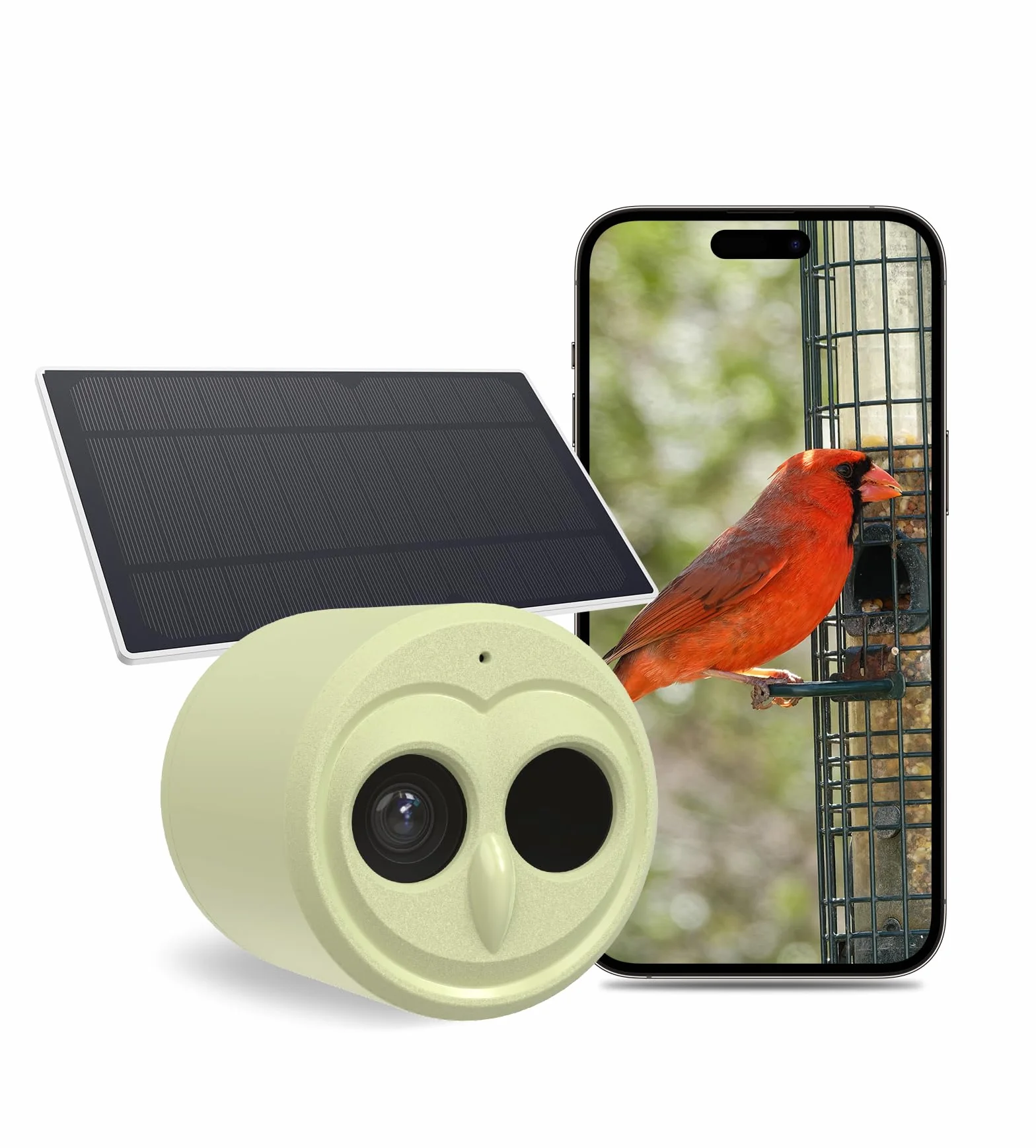 Kamera do obserwacji ptaków 5G, Hibird Smart AI identyfikuje i automatycznie przechwytuje ponad 10000 gatunków ptaków IP66 Mini bezprzewodowa kamera do obserwacji z panelem słonecznym, dla miłośników
