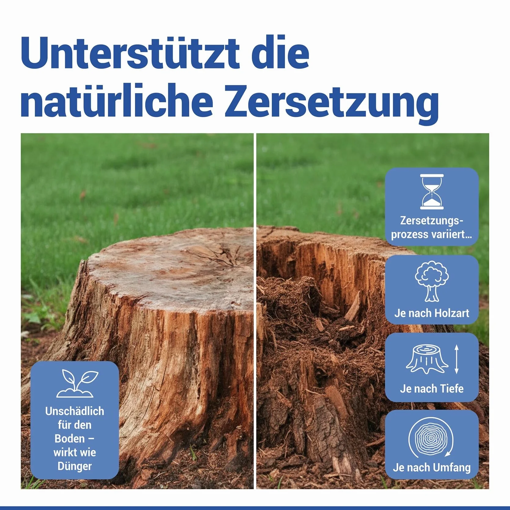 Środek do usuwania korzeni 3000 g, przyspiesza proces rozkładu, skuteczny środek do usuwania korzeni pnia drzewa, nieszkodliwy dla gleby