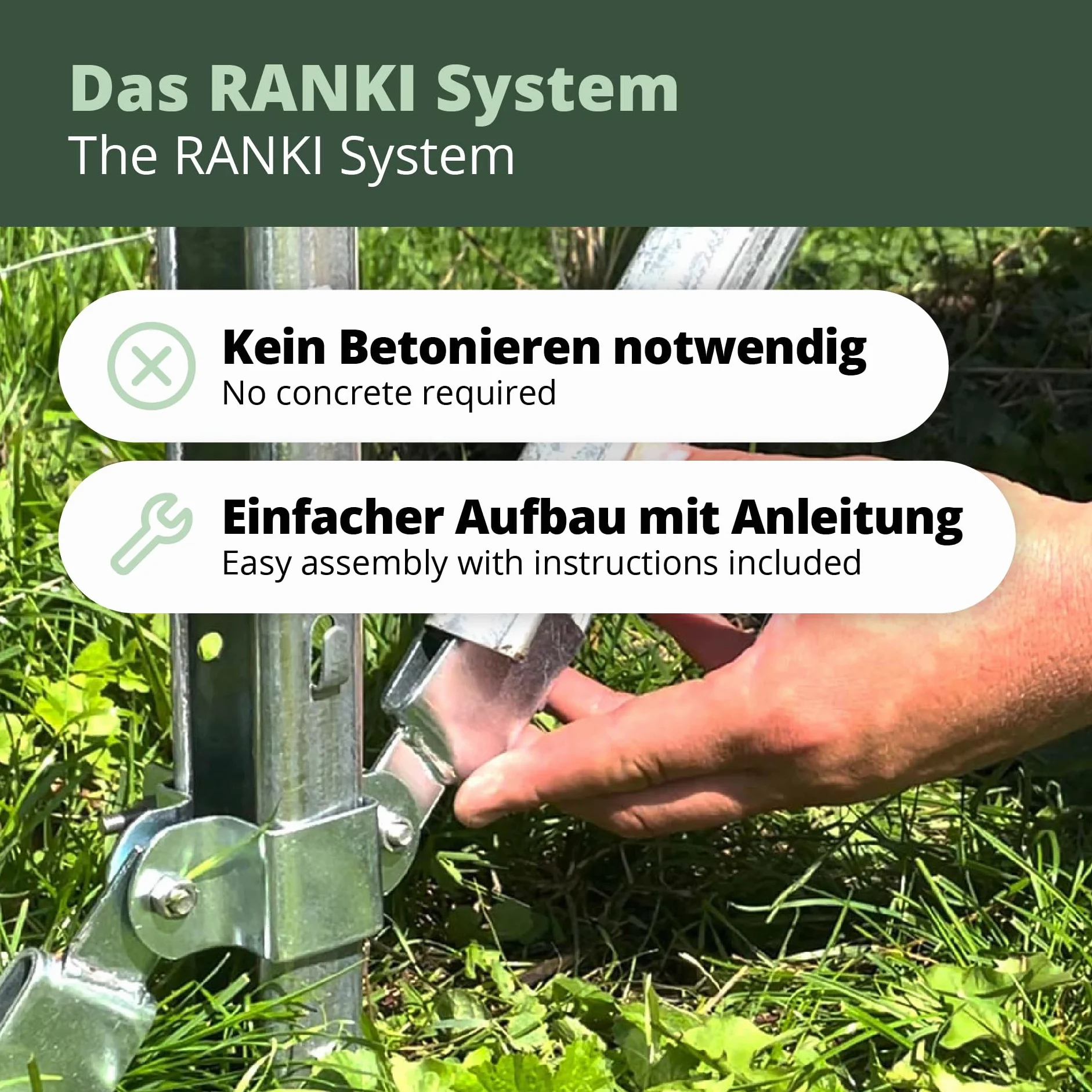 RANKI™ – podpora dla roślin pnących – pergola na standardowej plantacji do wina, kiwi, kiwi, róż, powojników, owoców pergolskich (2 pola (4 metry))