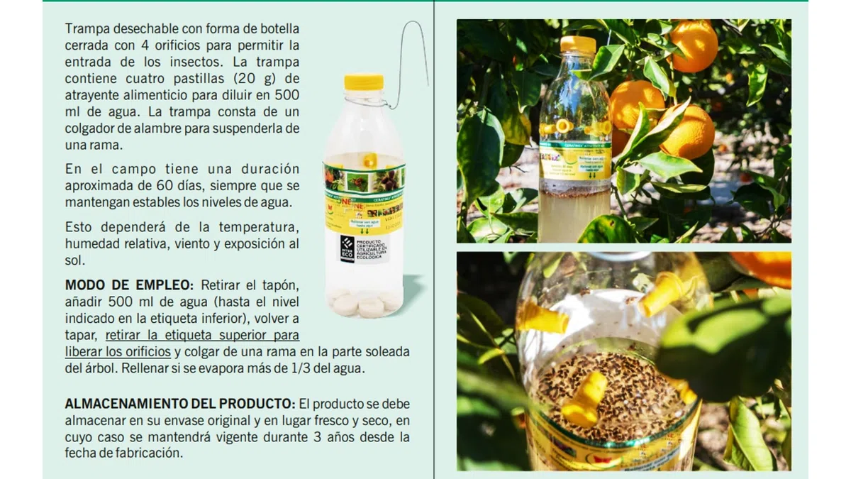 Bricoloco Kit Anti szkodniki dla drzew owocowych z atraktorem feromonów muchami owocowymi i muchą oliwną. Butelka z czterema tabletkami i wieszakiem (5)