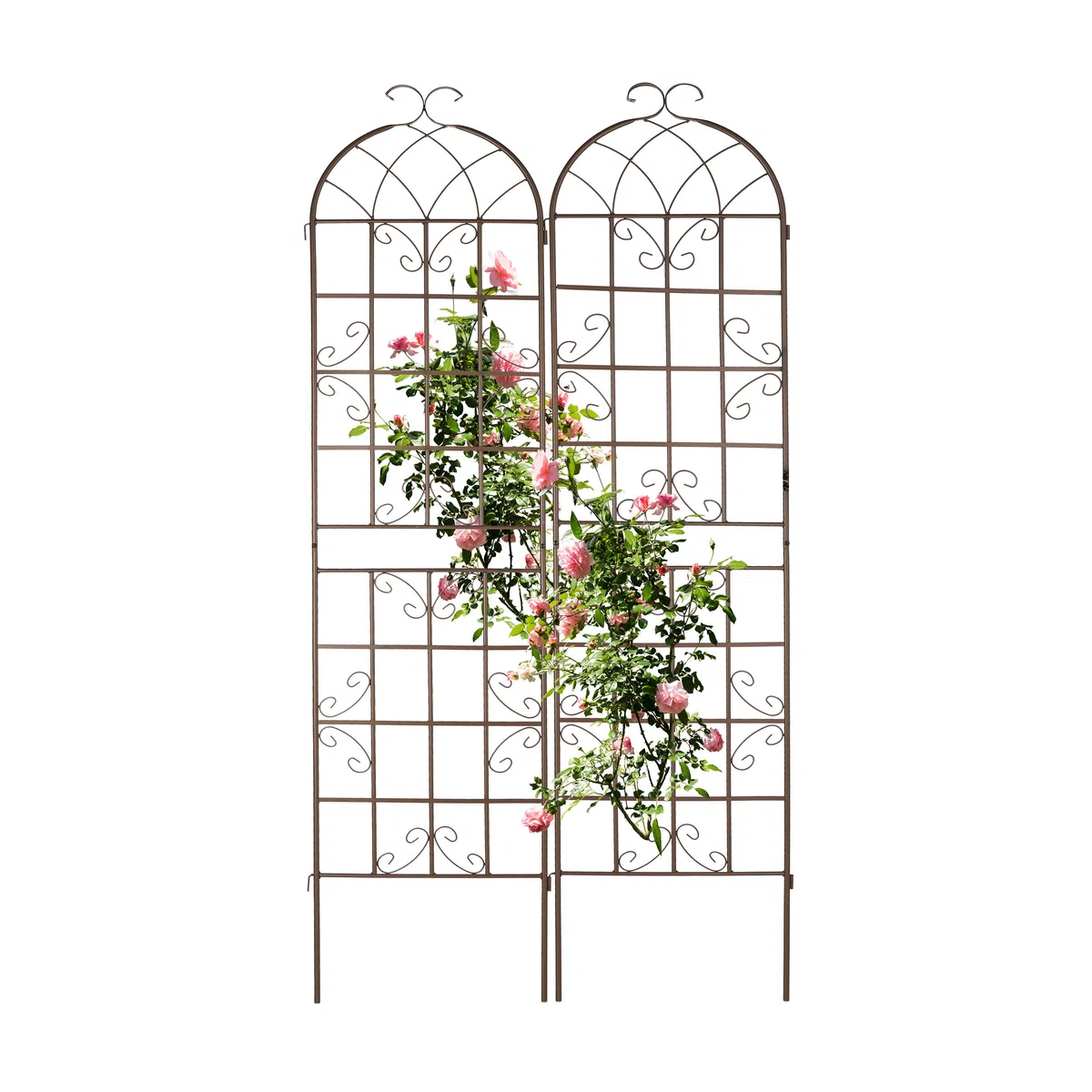 Relaxdays Kratka na rośliny metalowe, zestaw 2-częściowy, podpora dla roślin pnących, do wtykania, pergola wys. x szer. x gł.: 220 x 52 x 2 cm, brązowa