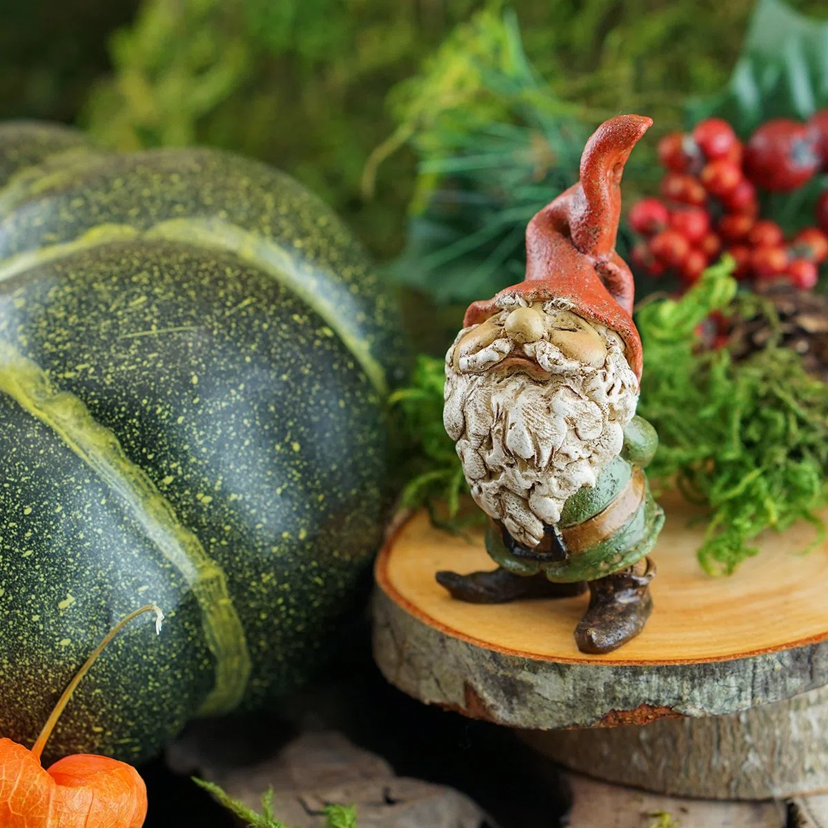 Top Collection Miniaturowy bajkowy ogród i terrarium ogrodowy krasnal statuetka