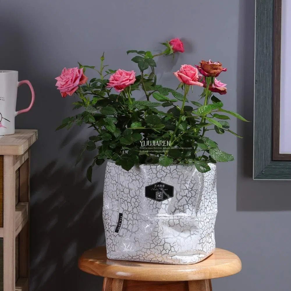 Styl prosta duża ceramiczna doniczka do sadzenia wewnątrz kaktus doniczka srebrna pęknięcie ziarna sukulent doniczka na zewnątrz kwiat ogród ceramika doniczki - 19 * 15,5 cm