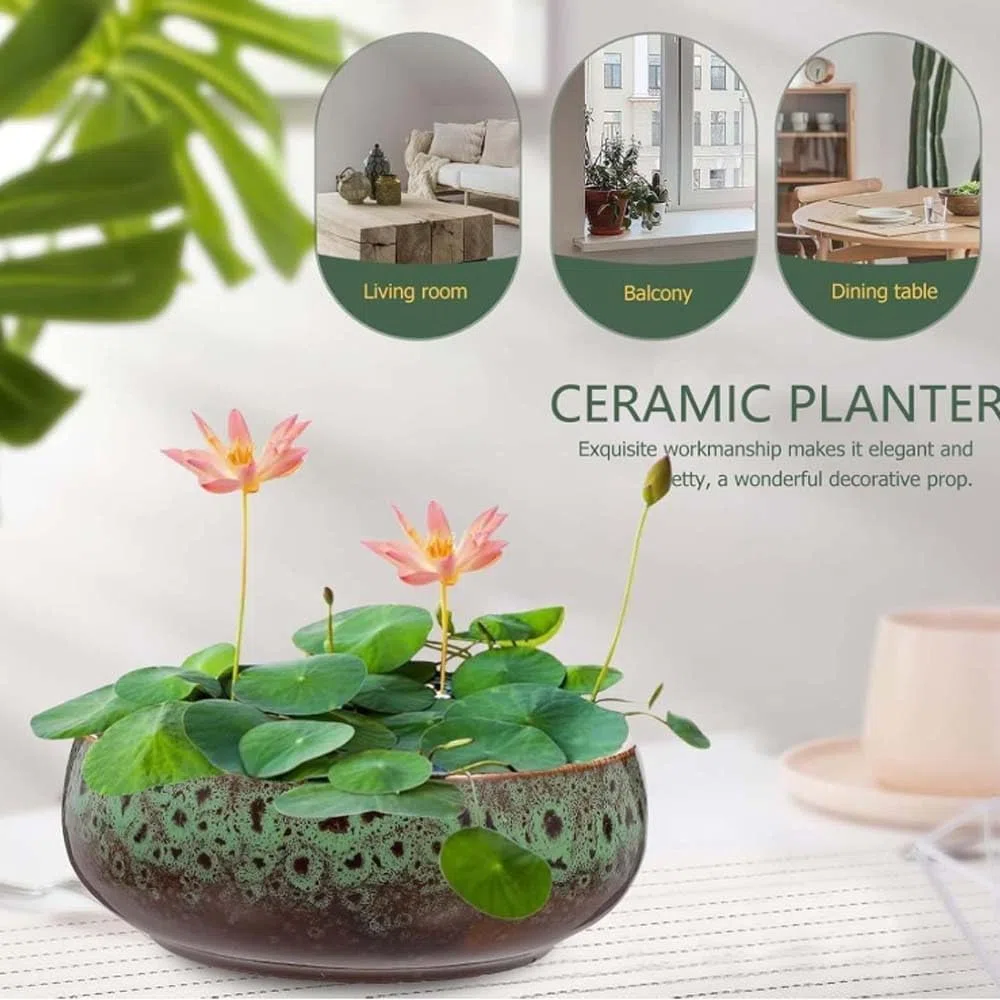 Ceramiczna doniczka z motywem lotosu do hydroponiki wewnętrznej, płytka doniczka w kształcie płatka do sukulentów, bonsai i roślin wodnych, idealna do nasion kwiatu lotosu