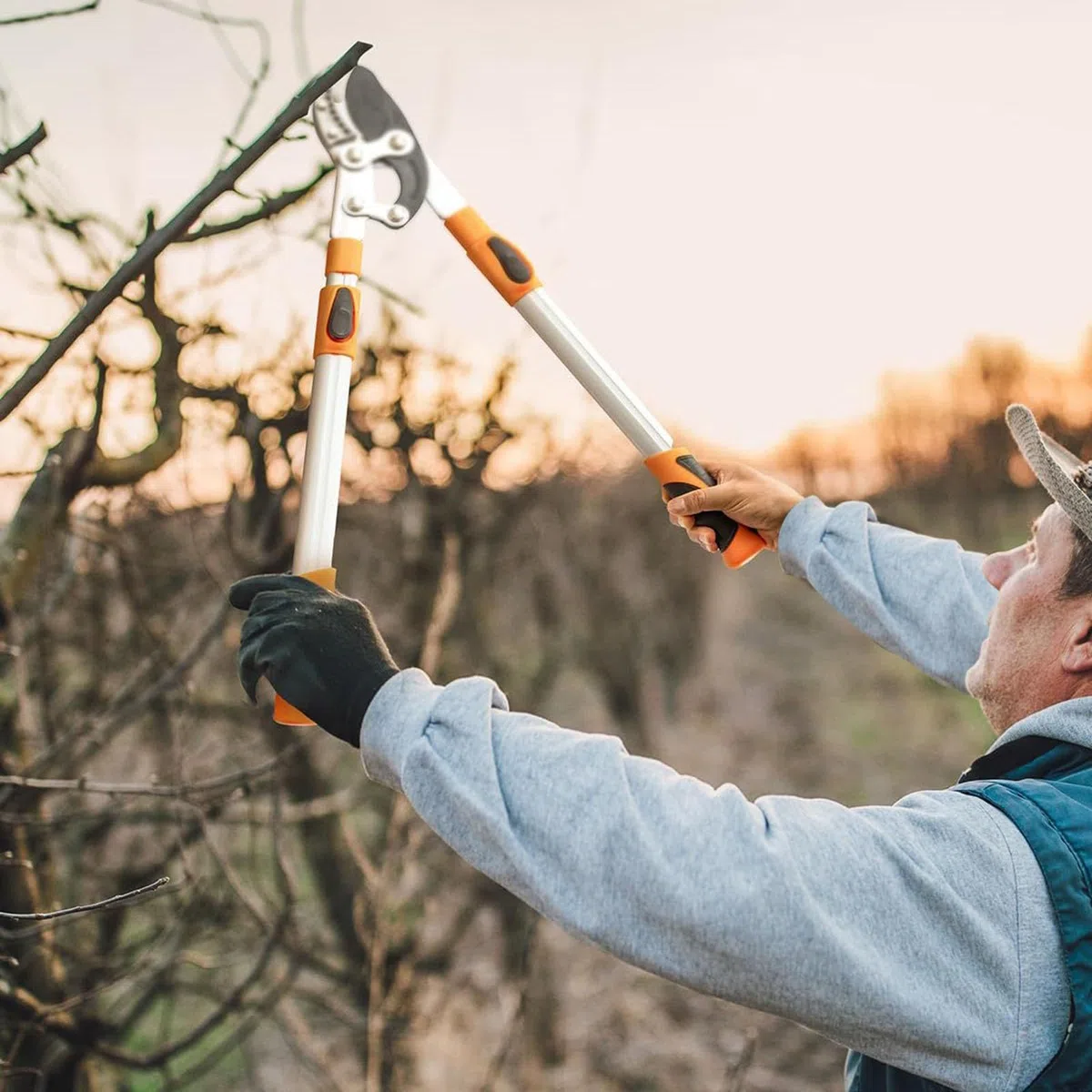 Nożyce ogrodowe Teleskopowy Długi Uchwyt Do Cięcia I Przycinania | Sekator obejściowy ogrodowy Do Drzew, Żywopłotów, Kwiatów, Bonsai, Winorośli, Krzewów, Na Zewnątrz, Podwórza, Patio, Ganku,