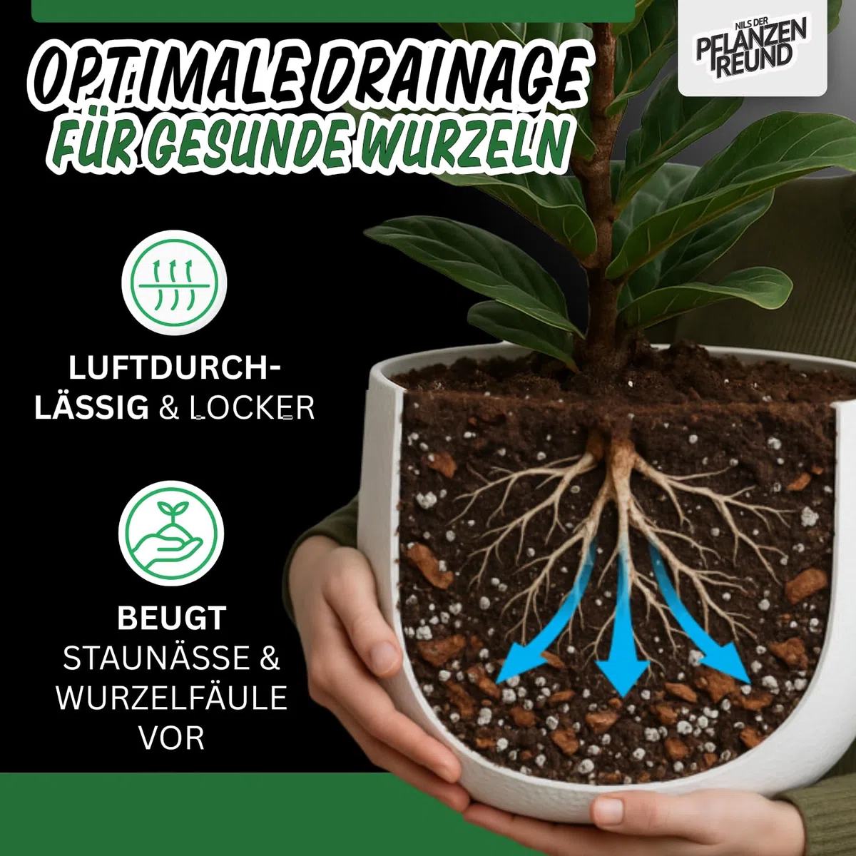 Ziemia do Monstery (25 L) – podłoże Araceae dla Monstery, Philodendrona i Alocasii, do roślin domowych