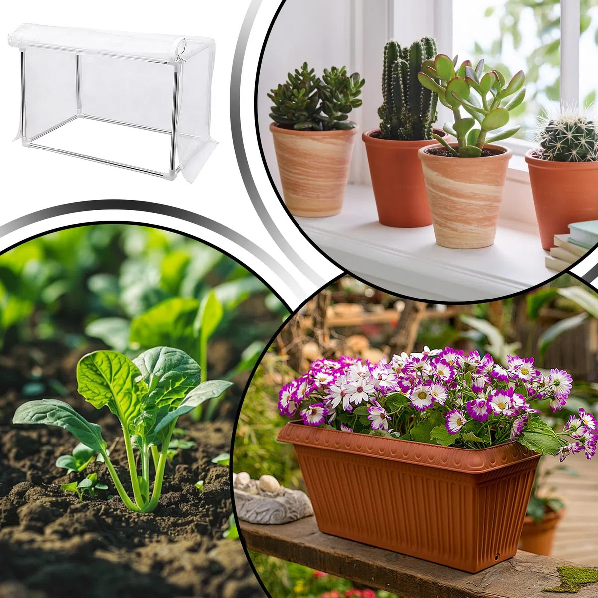 Mini Szklarnia 60x30x30 cm Namiot Roślinny | Przezroczysta Szklarnia Na Stół Do Uprawy Wewnętrznej Na Stół Balkon Ogród Taras Patio Zimą Dla Kwiatów Na Werandzie I Przy