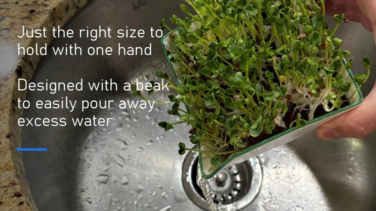Zestaw do uprawy Microgreens. Łatwy w użyciu, samonawadniający. Zawiera dwie specjalnie zaprojektowane tace ceramiczne oznaczone kolorami z pasującymi pokrywkami, aby stworzyć optymalne przytulne