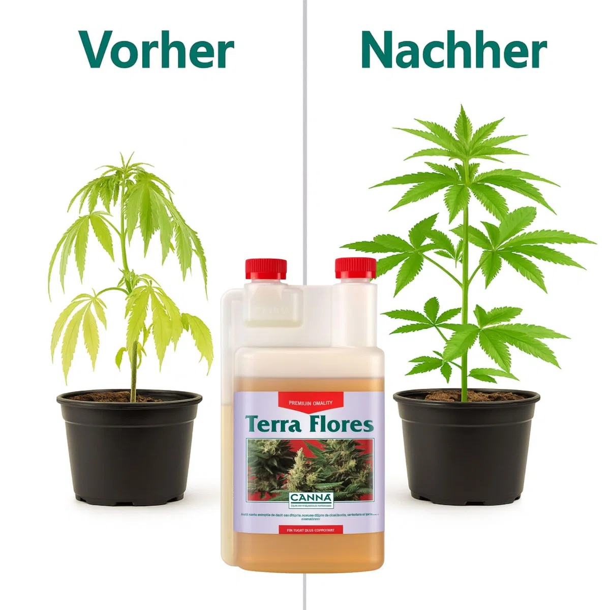Weedness Canna Terra Flores 5 litrów – faza kwitnienia, uprawa w pomieszczeniach, kwiaty, nawóz bio-pomidorów, ogórków, nawóz organiczny