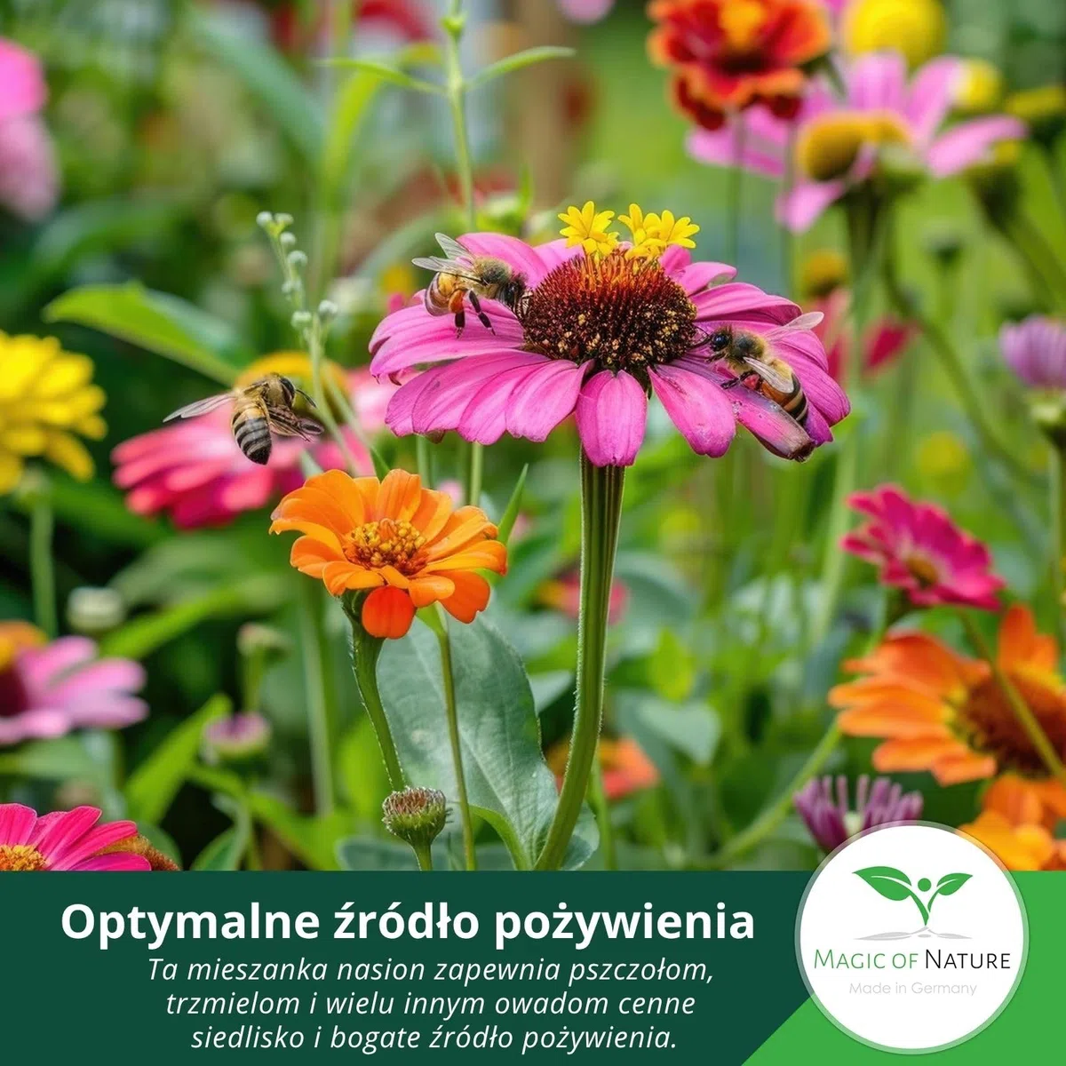 Magic of Nature 2,5kg Mieszanka Nasion Kwiatów - Raj dla Pszczół - Łąka Kwietna Miododajna - Ponad 20 Odmian na Powierzchnię 750-1250 m²
