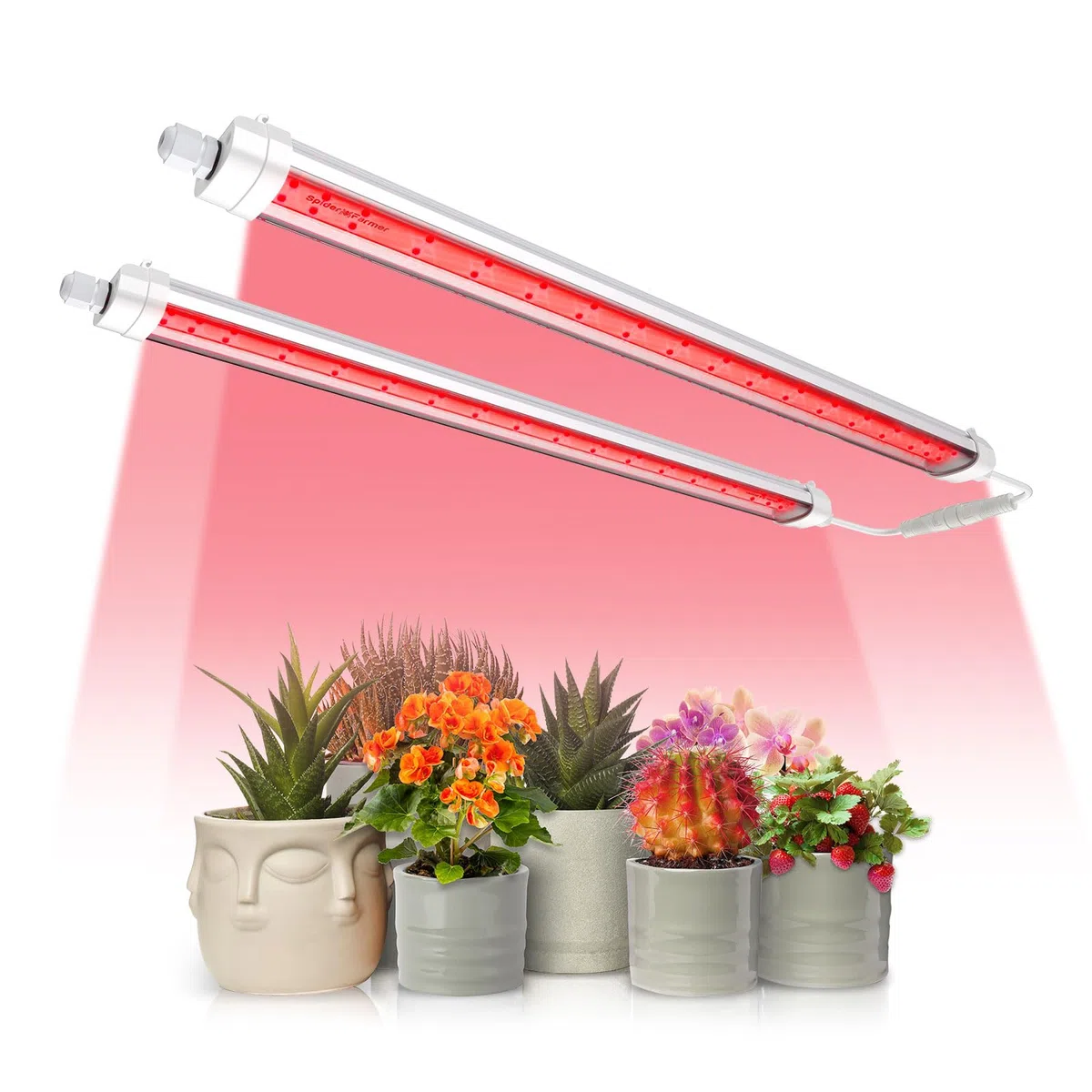 Spider Farmer 2024 nowa lampa LED do uprawy roślin SF-GlowR40, czerwona dodatkowa listwa oświetleniowa, 650-665 NM, wysoka wydajność do roślin domowych, kwitnący kwiat (2 opakowania 40 W)