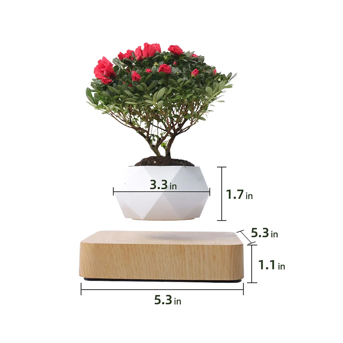Lewitująca magnetyczna doniczka na doniczkę bonsai, zawieszenie, mikro-krajobrazu, do domu, biura, jako prezent na Dzień Ojca, naturalna