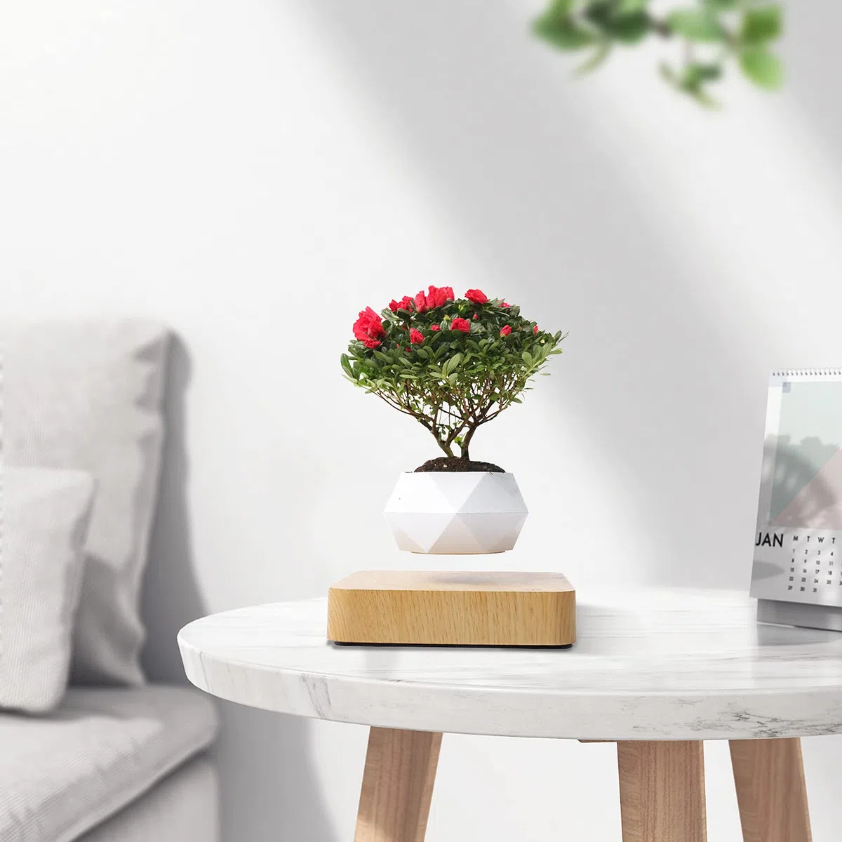 Lewitująca magnetyczna doniczka na doniczkę bonsai, zawieszenie, mikro-krajobrazu, do domu, biura, jako prezent na Dzień Ojca, naturalna