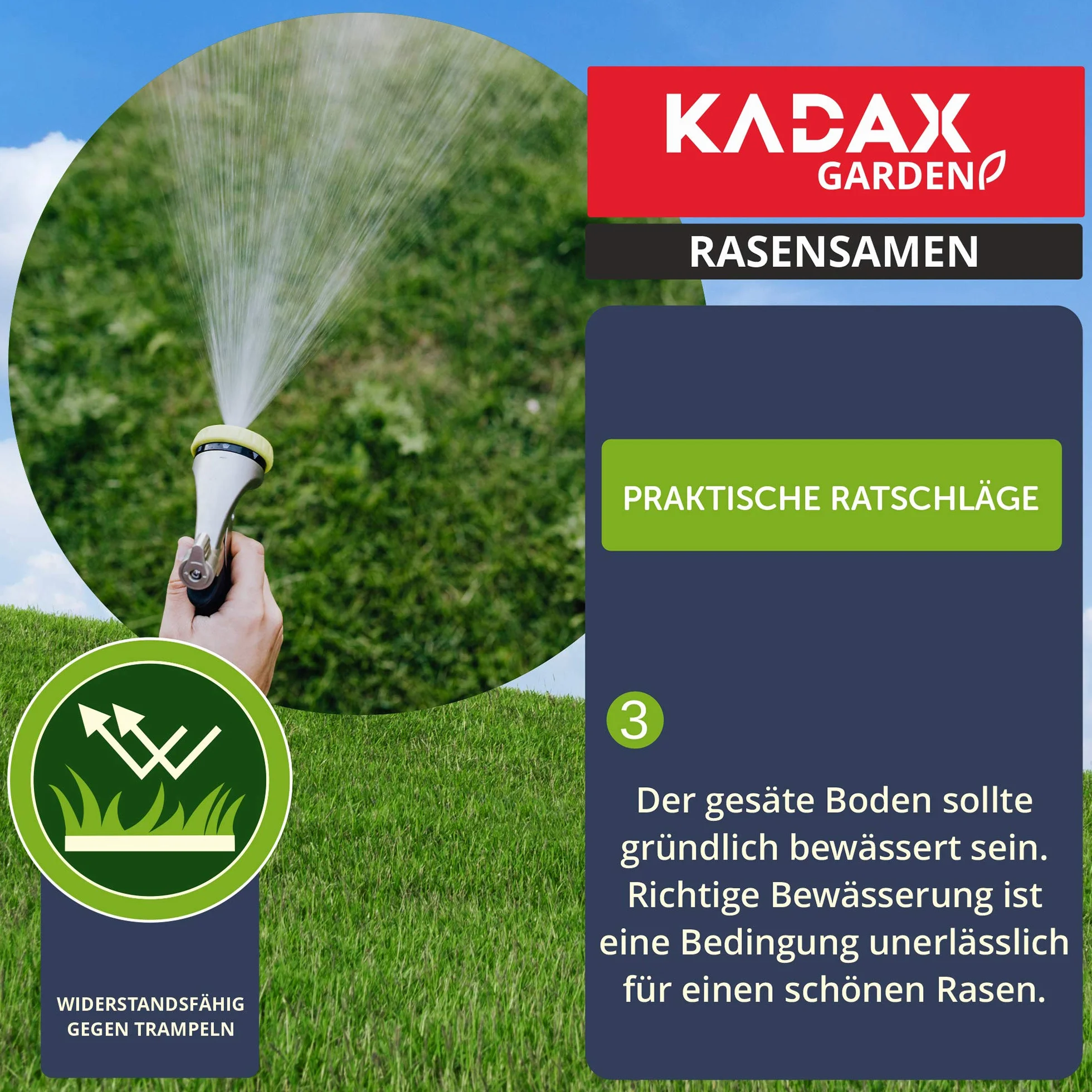 KADAX Trawa ozdobna, 600 m², nasiona trawy ozdobnej, mieszanka nasion trawy, nasiona trawy, nasiona efektywne, mieszanka nasion trawy, trawa, mieszanka nasion (15 kg)