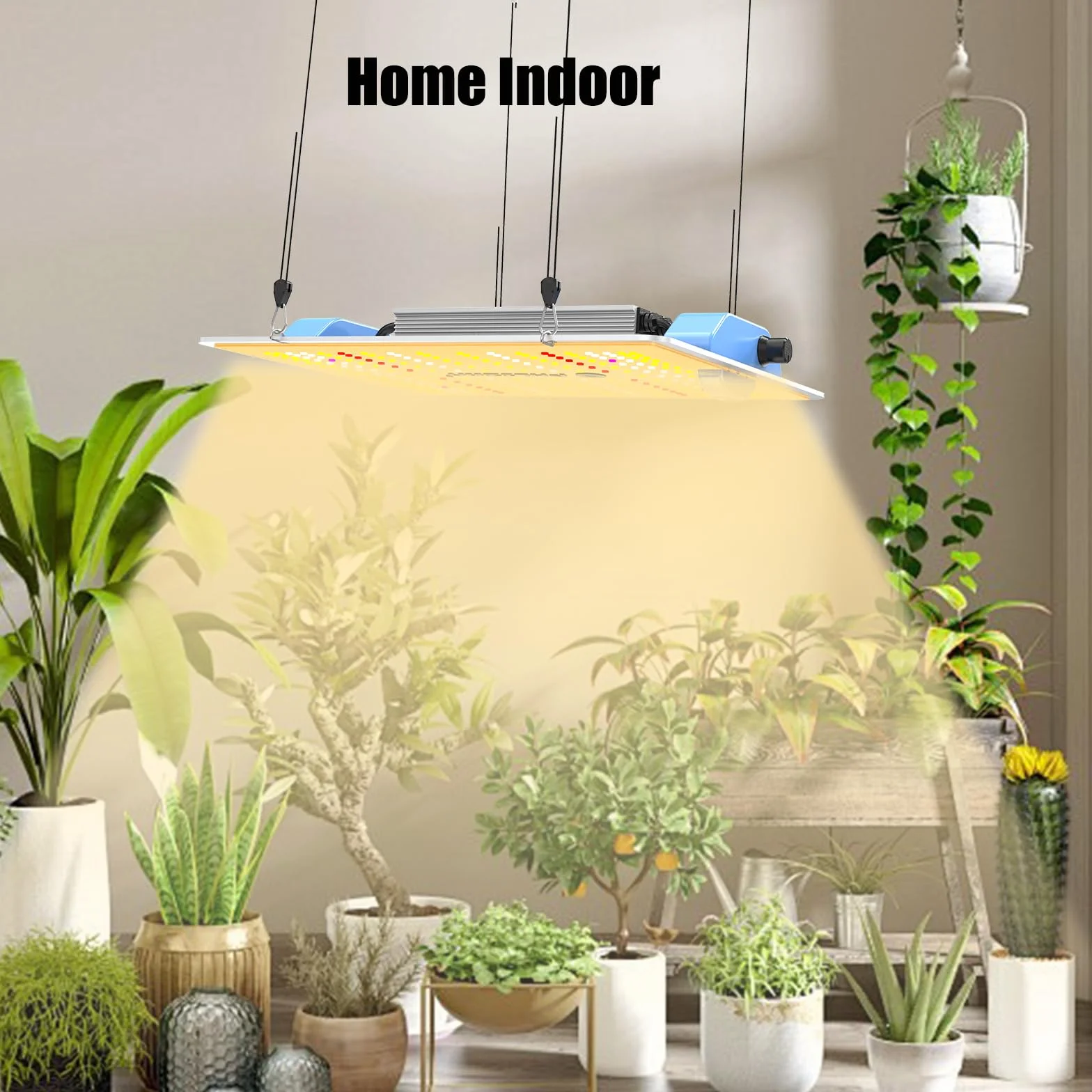 Phlizon PL1000 Led Grow Light z UV IR LED LM281B Ściemnialna lampa łańcuchowa stokrotka o pełnym spektrum wzrostu LED dla pokrycia 0,6mx1,2m (PL-1000)