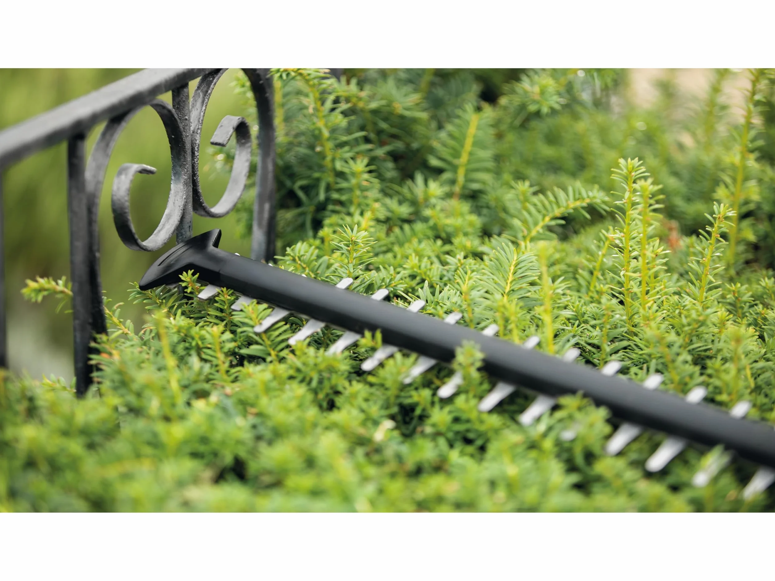 Bosch UniversalHedgeCut 50 - Sekator (480 W, długość listwy tnącej: 50 cm, do średnich żywopłotów, odstęp pomiędzy nożami: 26 mm, opakowanie kartonowe)
