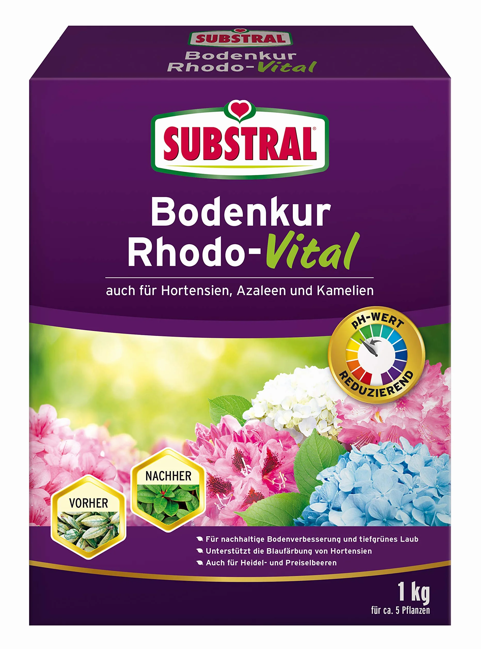 Substral Kuracja podłogowa Rhodo-Vital – 1 kg