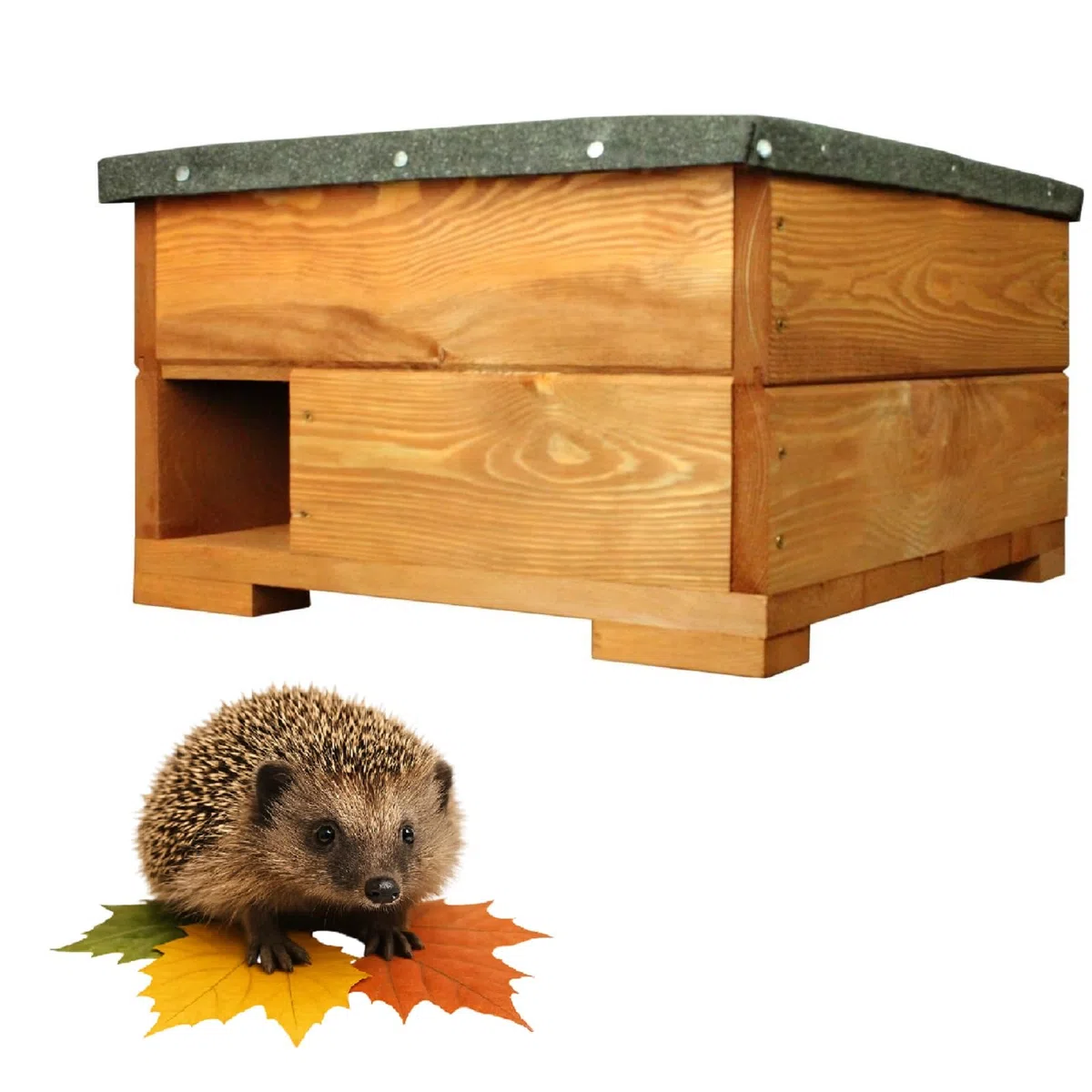 QLS Drewniany domek dla jeża 45 x 45 cm z dachem naturalny | Impregnowana konstrukcja z desek 2 cm, wysokość 27 cm, wejście 11 x 11 cm. Bezpieczne schronienie