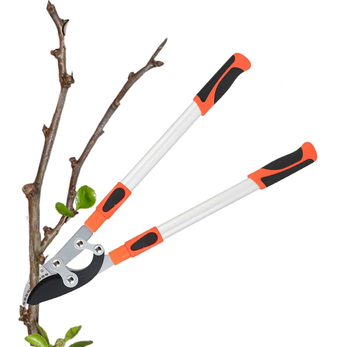 Nożyce Ogrodowe Nożyce Teleskopowe Z Długą Rączką | Sekator Ogrodowy do ogrodu, na patio, trawnik, ścieżki, do przycinania drzew, krzewów, kwiatów, roślin i