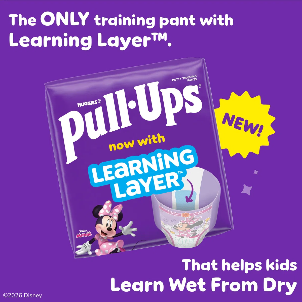 Pull-Ups Girls' Potty Training Pants, 2T-3T (16-34 lbs), 74 Count