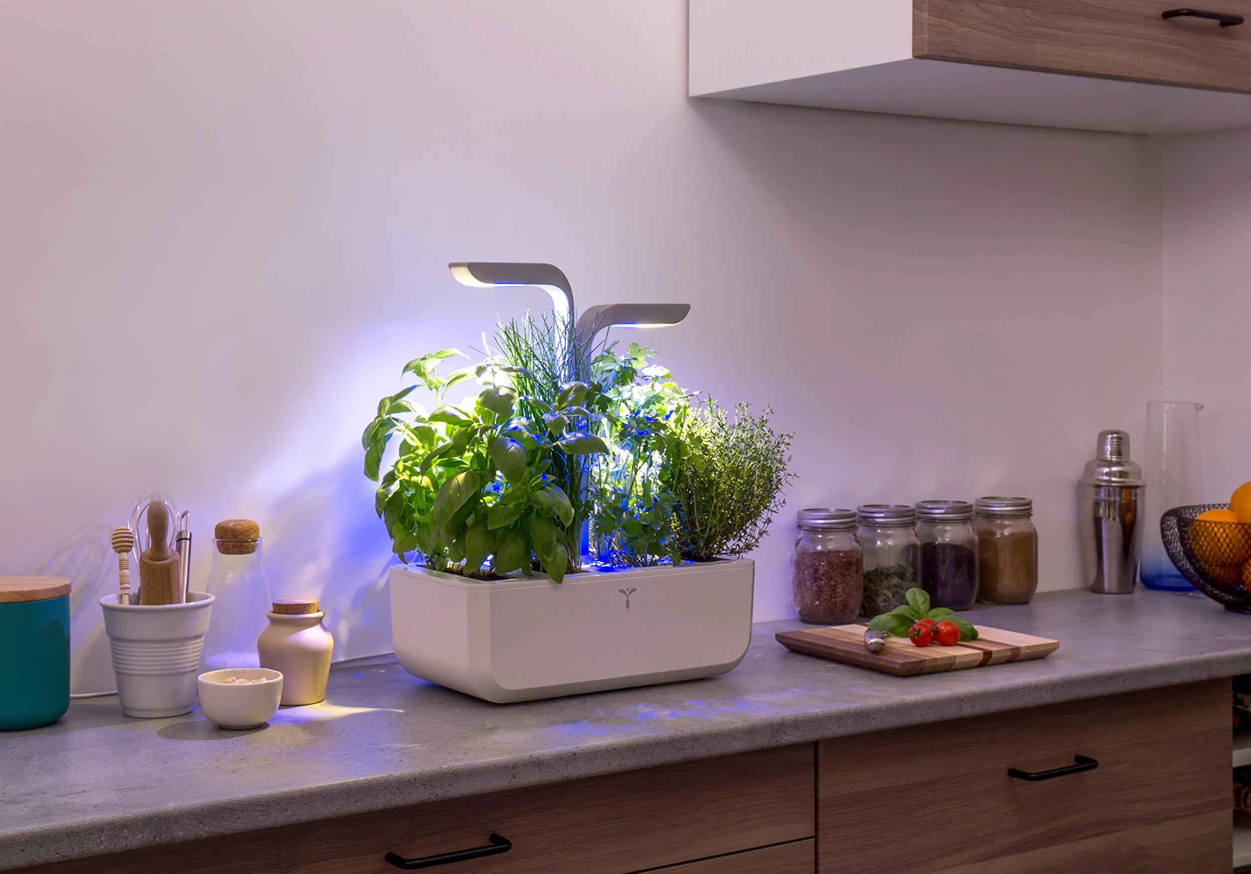 Véritable® SMART Arctic White - Technologia ADAPT 'LIGHT - Wewnętrzny ogród warzywny Made in France - - Inteligentny ogród autonomiczny dostarczany z 4 wkładami roślinnymi Lingots®