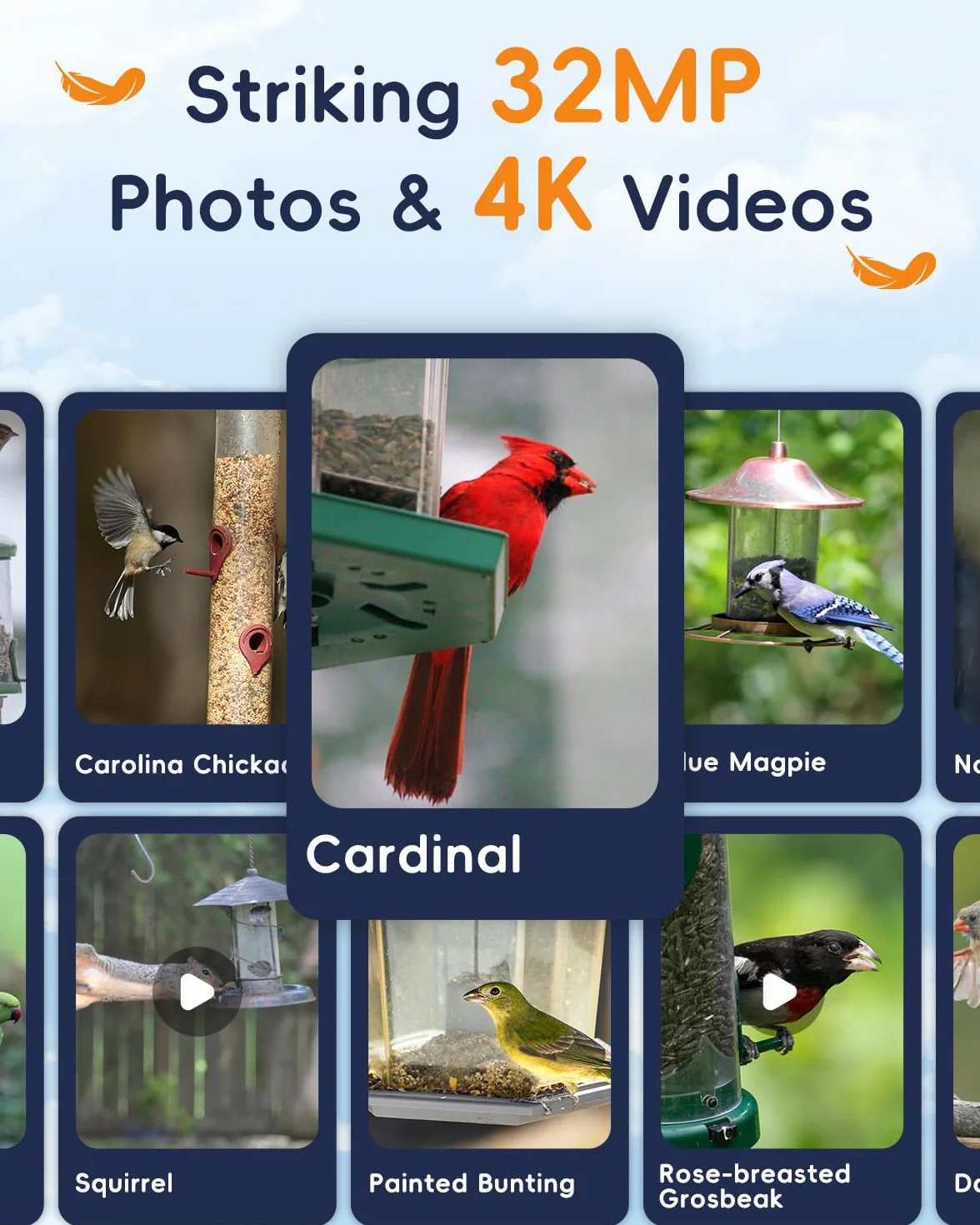 Kamera do obserwacji ptaków 5G, Hibird Smart AI identyfikuje i automatycznie przechwytuje ponad 10000 gatunków ptaków IP66 Mini bezprzewodowa kamera do obserwacji z panelem słonecznym, dla miłośników