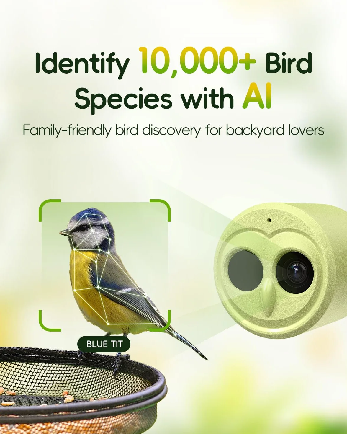 Hibird 4K HD inteligentna kamera do karmnika dla ptaków, zasilana energią słoneczną, podwójne WiFi 2,4G/5G, 6-krotny film w zwolnionym tempie, AI identyfikuje ponad 10 000 gatunków