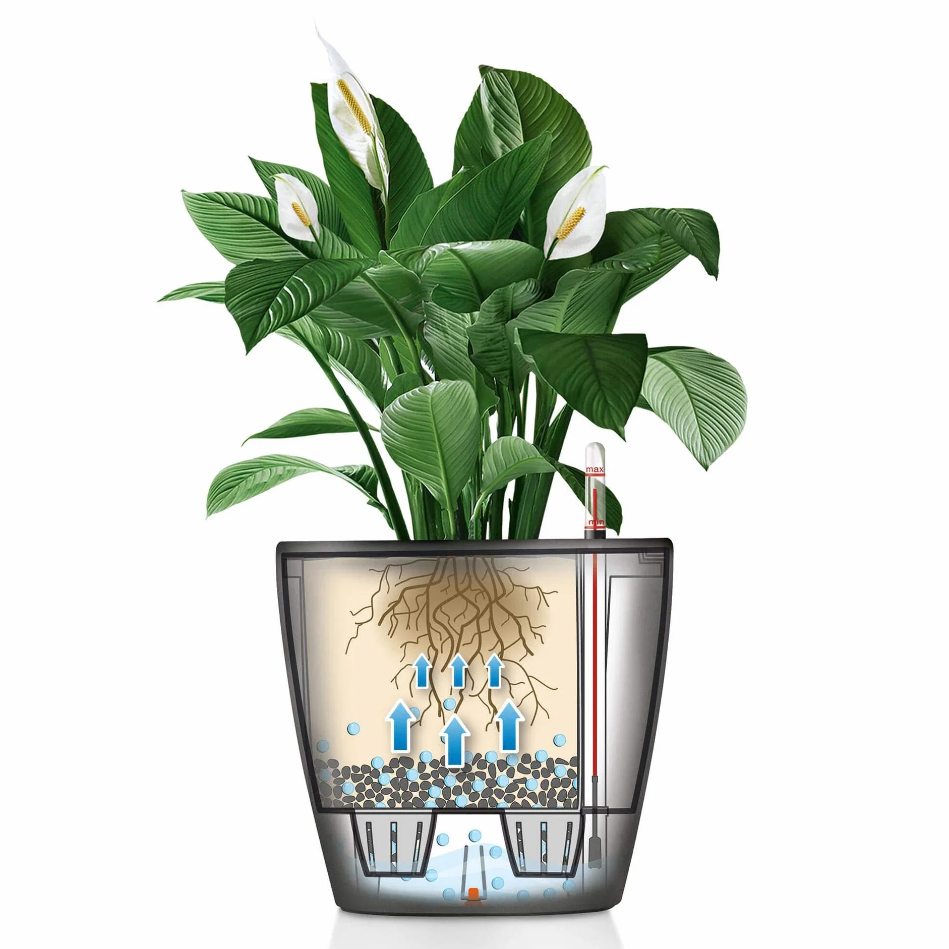 Lechuza Classico Premium Ls 50 Donica Antracytowy 50x50x47 cm