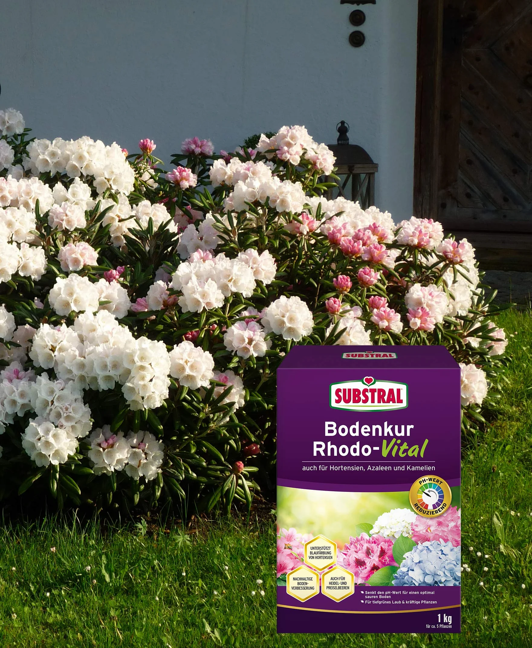 Substral Kuracja podłogowa Rhodo-Vital – 1 kg